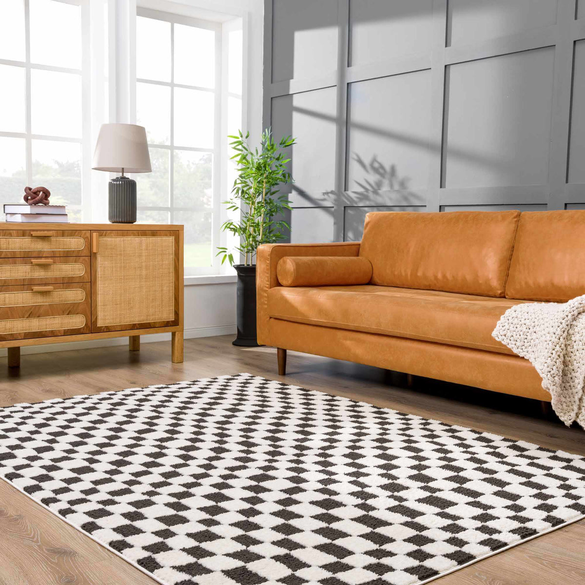 Lajos Black & White Checkered Plush Rug